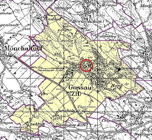 Datei:Gossau ZH Ortschaft.jpg