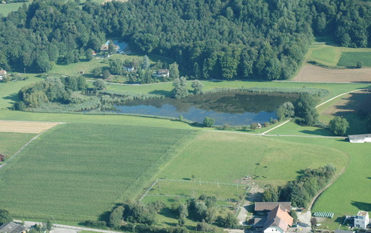 Datei:Bellacherweiher Luftaufnahme.jpg