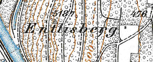Datei:Entlisberg Siegfriedkarte 1955.jpg