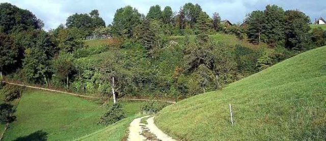 Lokalnamen